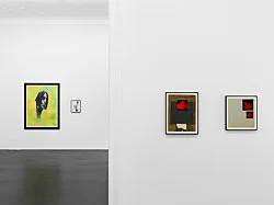 Featuring 13 Flamboyant Fiends — Richard Hawkins — Exhibitions — Galerie Buchholz — Image 75