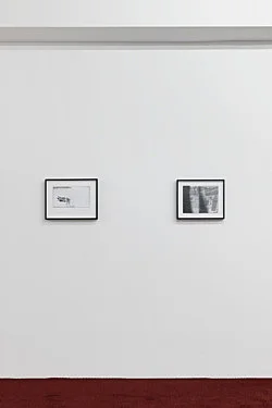 Eurostar — Samuel Hindolo — Exhibitions — Galerie Buchholz — Image 52