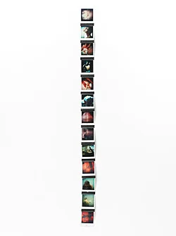 Featuring 13 Flamboyant Fiends — Richard Hawkins — Exhibitions — Galerie Buchholz — Image 83