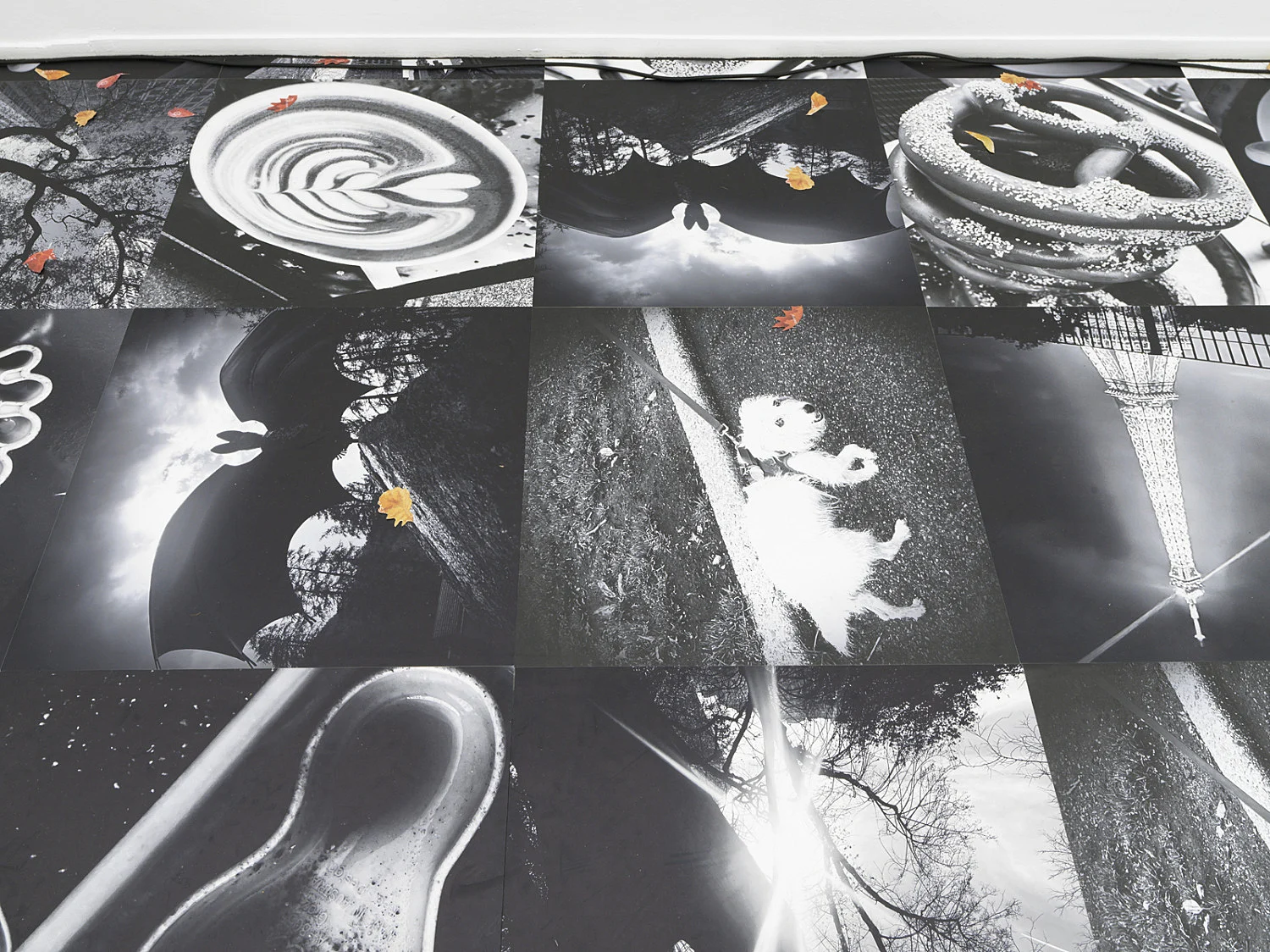 Autumn on Everything — Peter Fischli Gili Tal — Exhibitions — Galerie Buchholz — Image 15