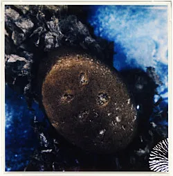 Teiku — Yair Oelbaum — Exhibitions — Galerie Buchholz — Image 65