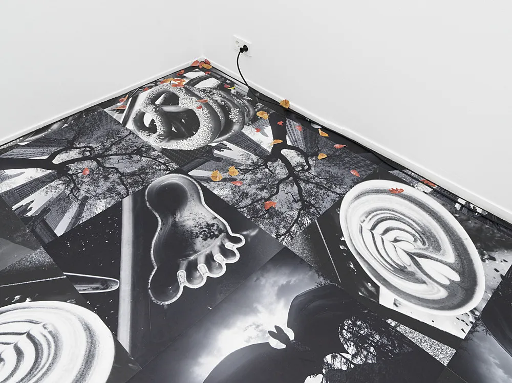 Autumn on Everything — Peter Fischli Gili Tal — Exhibitions — Galerie Buchholz — Image 00