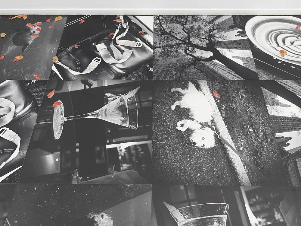 Autumn on Everything — Peter Fischli Gili Tal — Exhibitions — Galerie Buchholz — Image 00