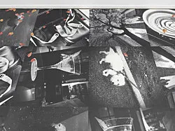 Autumn on Everything — Peter Fischli Gili Tal — Exhibitions — Galerie Buchholz — Image 43