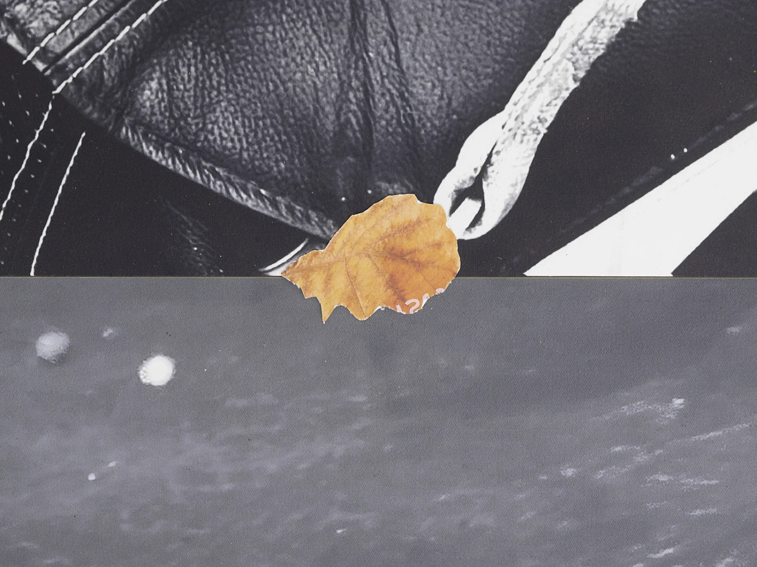 Autumn on Everything — Peter Fischli Gili Tal — Exhibitions — Galerie Buchholz — Image 19