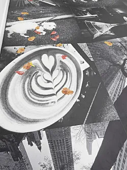 Autumn on Everything — Peter Fischli Gili Tal — Exhibitions — Galerie Buchholz — Image 53