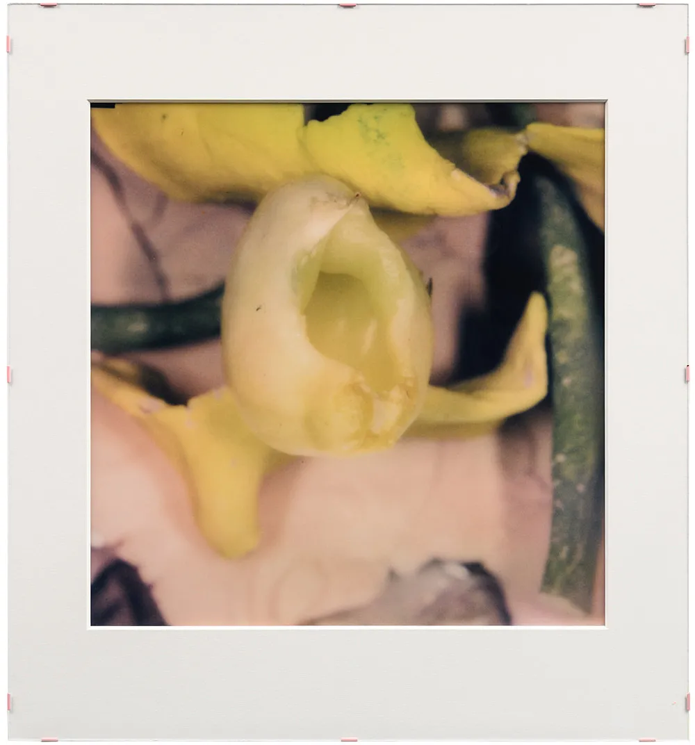 Teiku — Yair Oelbaum — Exhibitions — Galerie Buchholz — Image 31