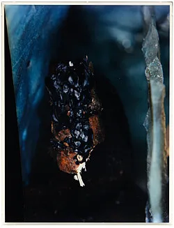 Teiku — Yair Oelbaum — Exhibitions — Galerie Buchholz — Image 82