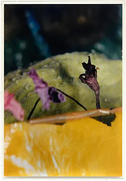 Teiku — Yair Oelbaum — Exhibitions — Galerie Buchholz — Image 52