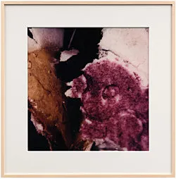 Teiku — Yair Oelbaum — Exhibitions — Galerie Buchholz — Image 88