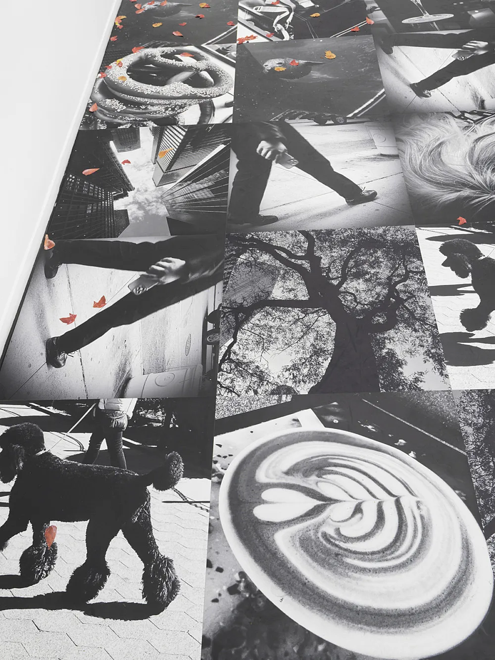 Autumn on Everything — Peter Fischli Gili Tal — Exhibitions — Galerie Buchholz — Image 00