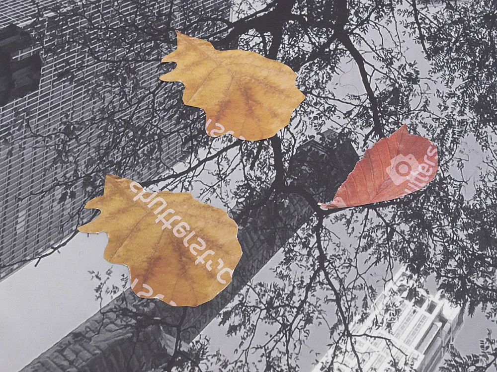 Autumn on Everything — Peter Fischli Gili Tal — Exhibitions — Galerie Buchholz — Image 00