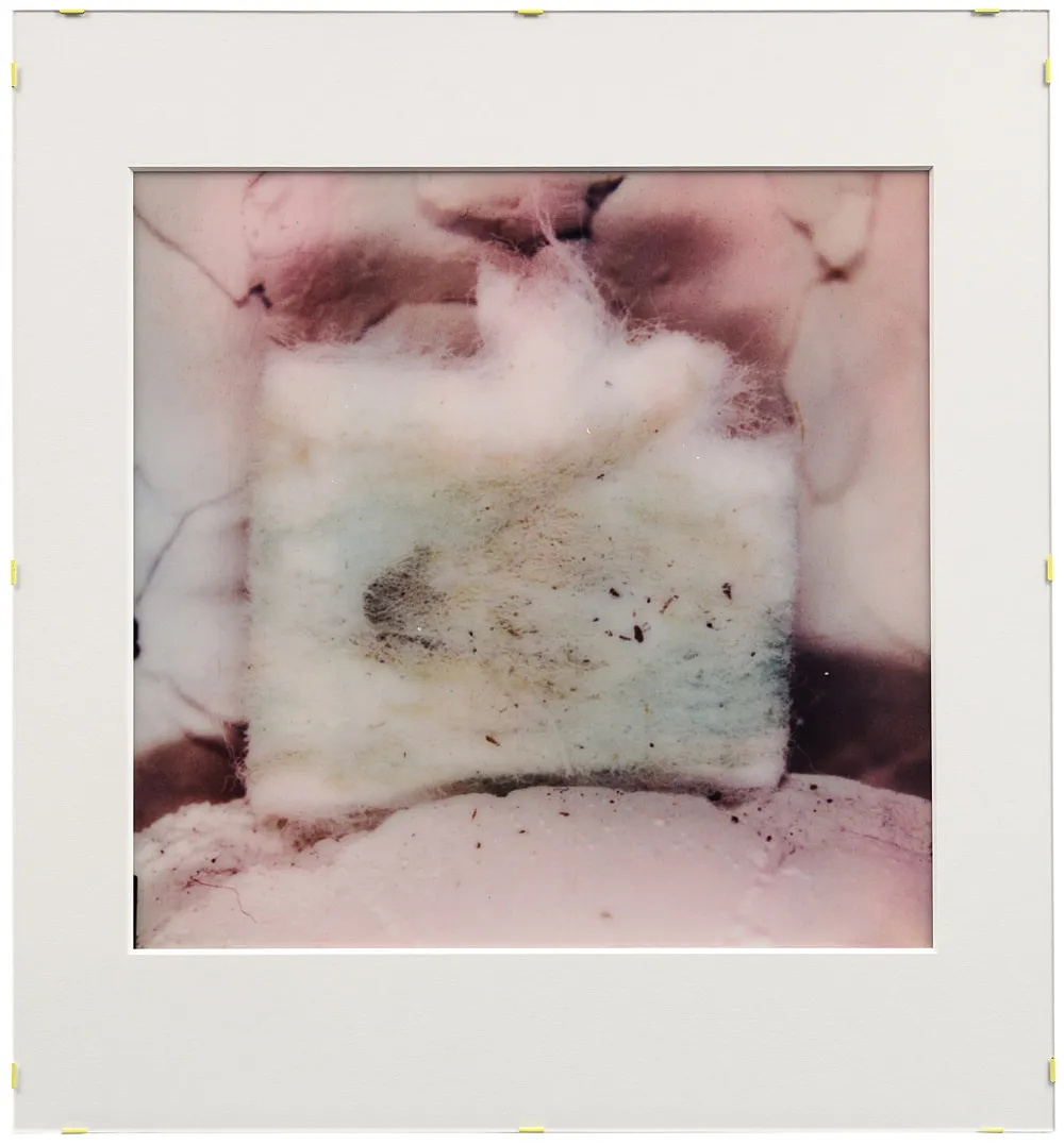 Teiku — Yair Oelbaum — Exhibitions — Galerie Buchholz — Image 12