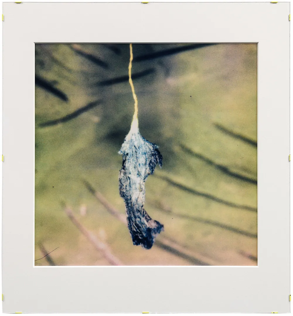 Teiku — Yair Oelbaum — Exhibitions — Galerie Buchholz — Image 13