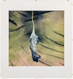 Teiku — Yair Oelbaum — Exhibitions — Galerie Buchholz — Image 60