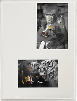 an exhibition organized by Samuel Hindolo — Yuji Agematsu, Gilles Aillaud, Cecilia Bjartmar Hylta, Prunella Clough, Curtis Cuffie, Dominick Di Meo, Trisha... — Exhibitions — Galerie Buchholz — Image 62