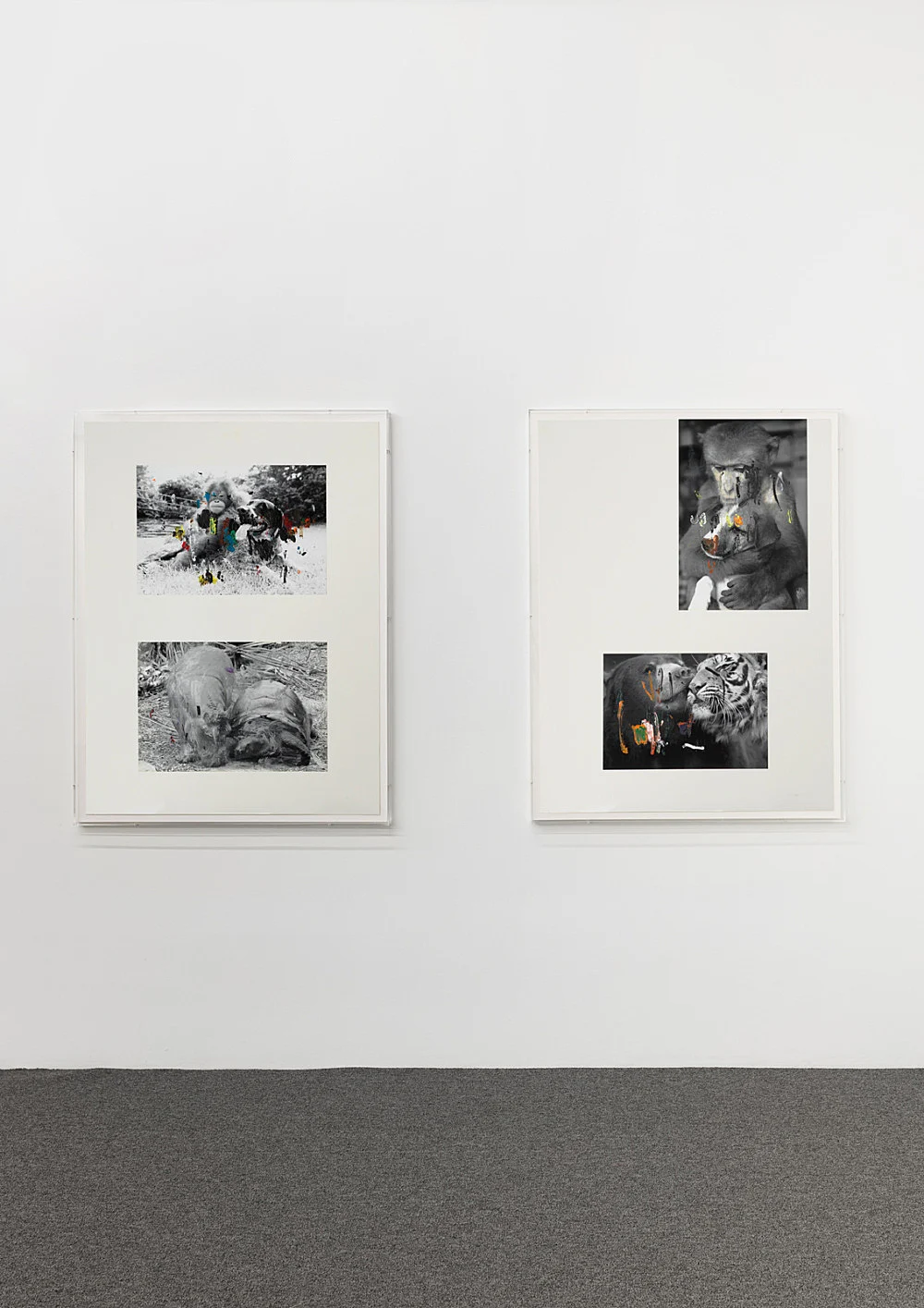 an exhibition organized by Samuel Hindolo — Yuji Agematsu, Gilles Aillaud, Cecilia Bjartmar Hylta, Prunella Clough, Curtis Cuffie, Dominick Di Meo, Trisha... — Exhibitions — Galerie Buchholz — Image 23