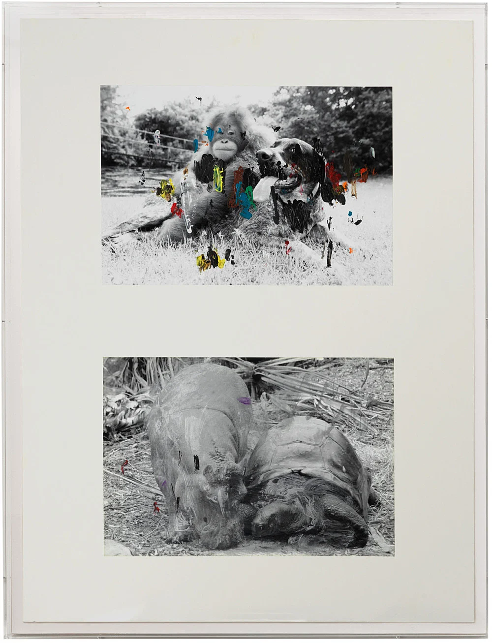 an exhibition organized by Samuel Hindolo — Yuji Agematsu, Gilles Aillaud, Cecilia Bjartmar Hylta, Prunella Clough, Curtis Cuffie, Dominick Di Meo, Trisha... — Exhibitions — Galerie Buchholz — Image 25