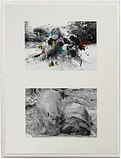 an exhibition organized by Samuel Hindolo — Yuji Agematsu, Gilles Aillaud, Cecilia Bjartmar Hylta, Prunella Clough, Curtis Cuffie, Dominick Di Meo, Trisha... — Exhibitions — Galerie Buchholz — Image 63