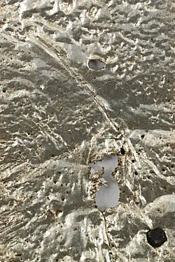 an exhibition organized by Samuel Hindolo — Yuji Agematsu, Gilles Aillaud, Cecilia Bjartmar Hylta, Prunella Clough, Curtis Cuffie, Dominick Di Meo, Trisha... — Exhibitions — Galerie Buchholz — Image 69