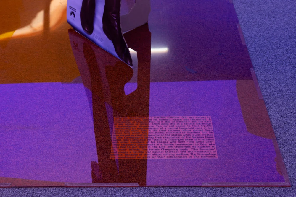 Into the Dimensional Corridor — Lutz Bacher — Exhibitions — Galerie Buchholz — Image 00