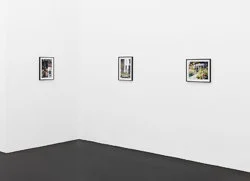 Early Men — Bruce Weber — Exhibitions — Galerie Buchholz — Image 52