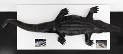 Food chain incl. prehistoric animals — Henrik Olesen — Exhibitions — Galerie Buchholz — Image 78