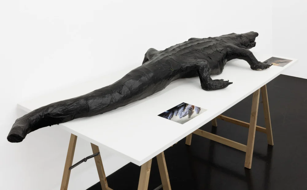 Food chain incl. prehistoric animals — Henrik Olesen — Exhibitions — Galerie Buchholz — Image 00
