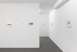 Correction of perspective in my bedroom — Alix Cléo Roubaud — Exhibitions — Galerie Buchholz — Image 88