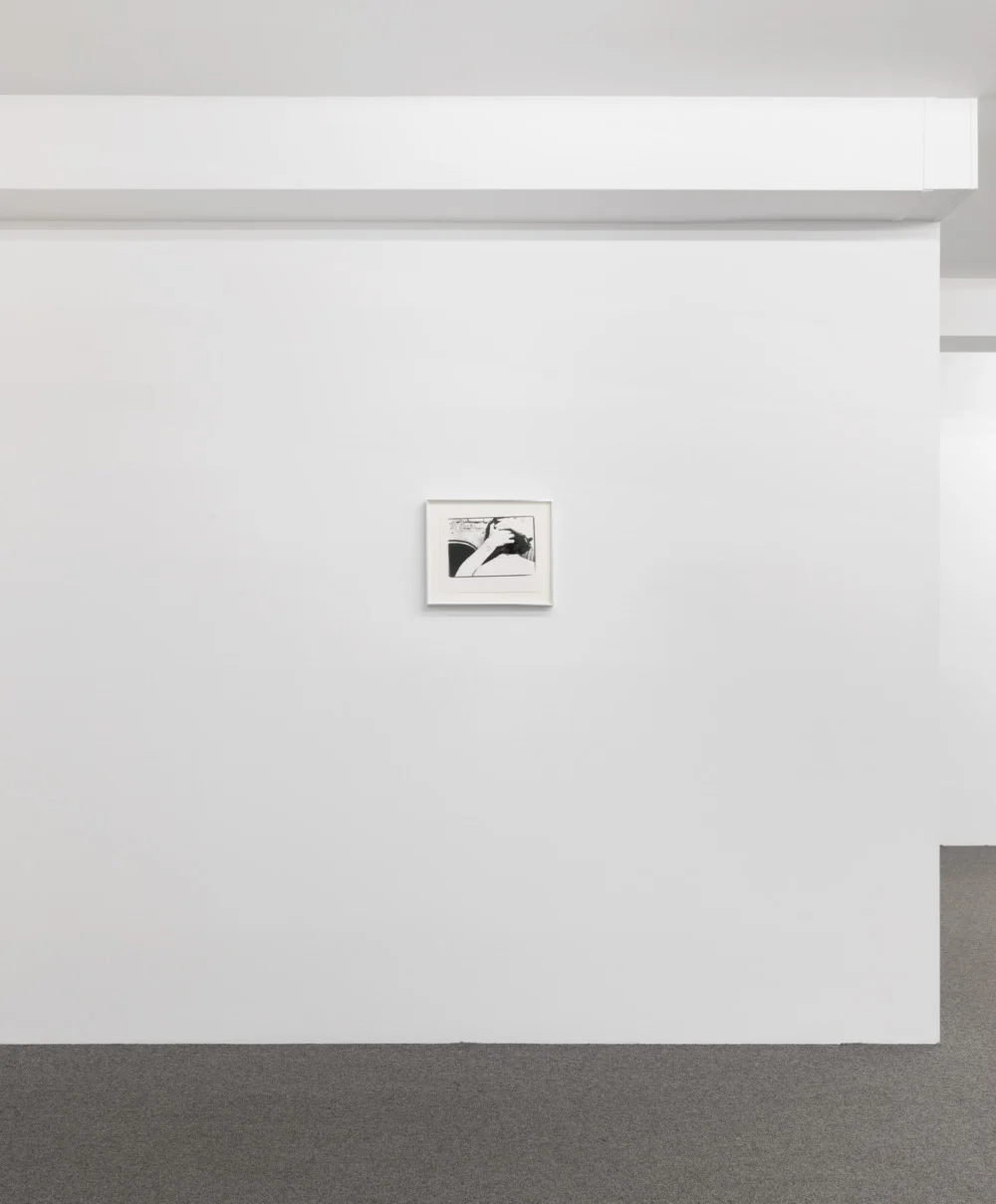 Correction of perspective in my bedroom — Alix Cléo Roubaud — Exhibitions — Galerie Buchholz — Image 26