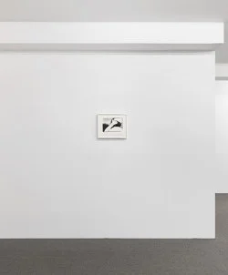 Correction of perspective in my bedroom — Alix Cléo Roubaud — Exhibitions — Galerie Buchholz — Image 89