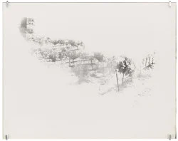 Correction of perspective in my bedroom — Alix Cléo Roubaud — Exhibitions — Galerie Buchholz — Image 93