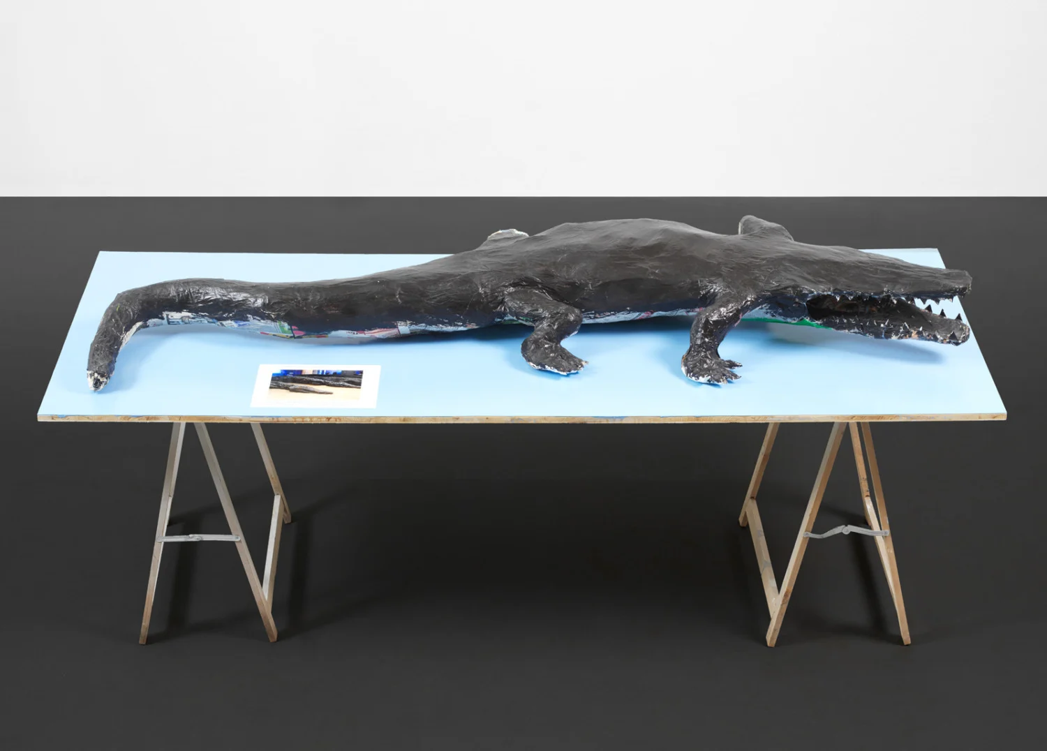 Food chain incl. prehistoric animals — Henrik Olesen — Exhibitions — Galerie Buchholz — Image 39