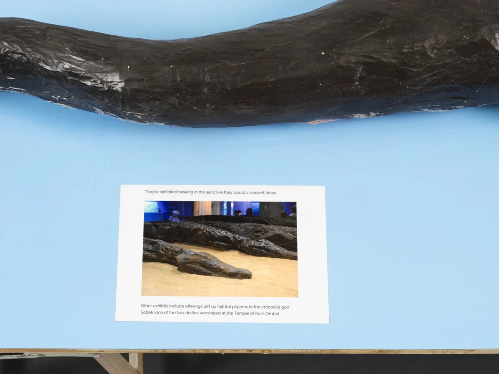 Food chain incl. prehistoric animals — Henrik Olesen — Exhibitions — Galerie Buchholz — Image 00