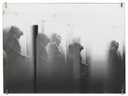 Correction of perspective in my bedroom — Alix Cléo Roubaud — Exhibitions — Galerie Buchholz — Image 102