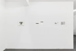 Correction of perspective in my bedroom — Alix Cléo Roubaud — Exhibitions — Galerie Buchholz — Image 107