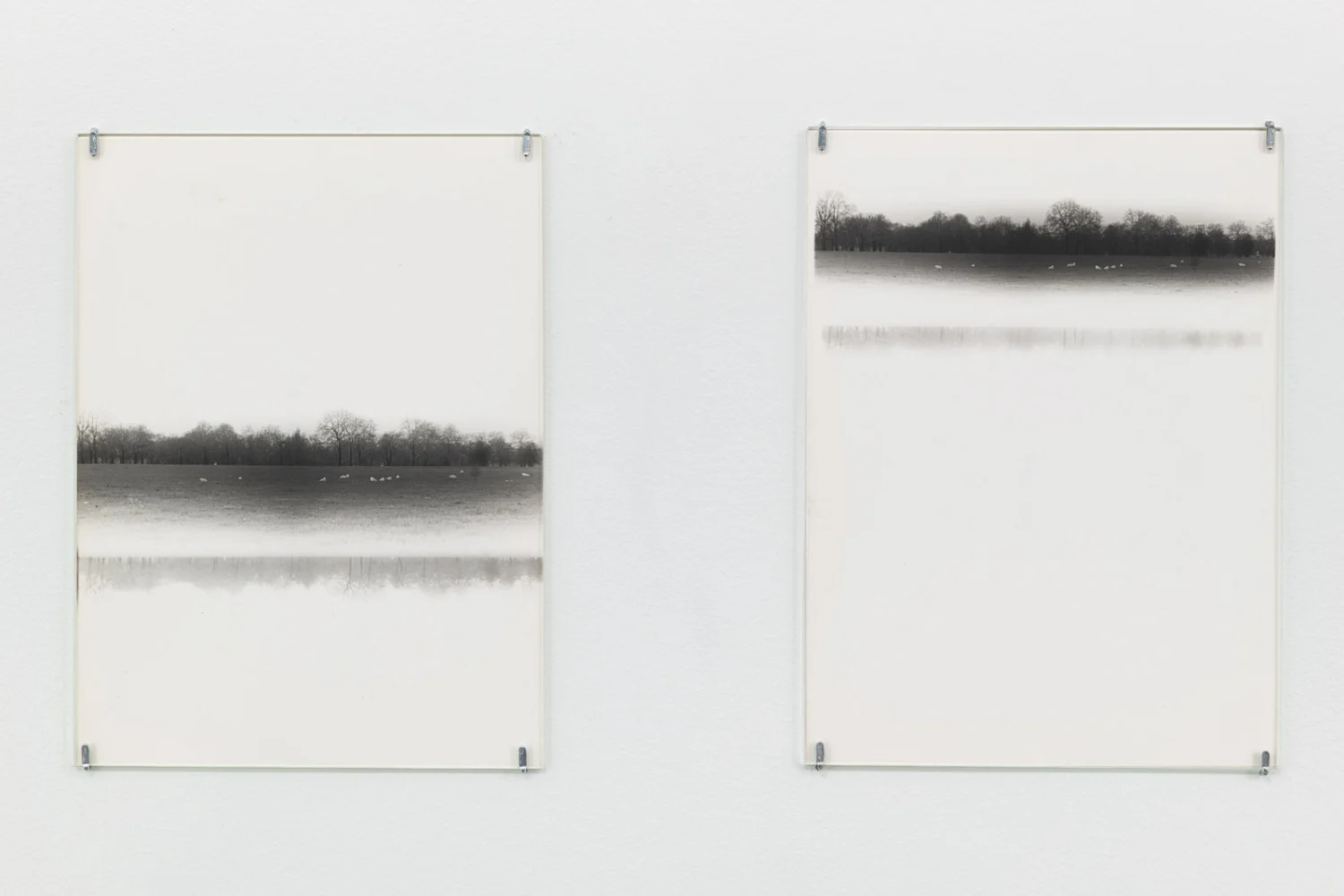 Correction of perspective in my bedroom — Alix Cléo Roubaud — Exhibitions — Galerie Buchholz — Image 47