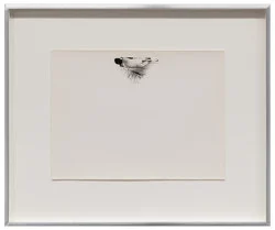 Correction of perspective in my bedroom — Alix Cléo Roubaud — Exhibitions — Galerie Buchholz — Image 118