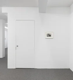 Correction of perspective in my bedroom — Alix Cléo Roubaud — Exhibitions — Galerie Buchholz — Image 121