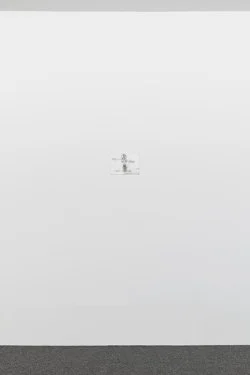 Correction of perspective in my bedroom — Alix Cléo Roubaud — Exhibitions — Galerie Buchholz — Image 72