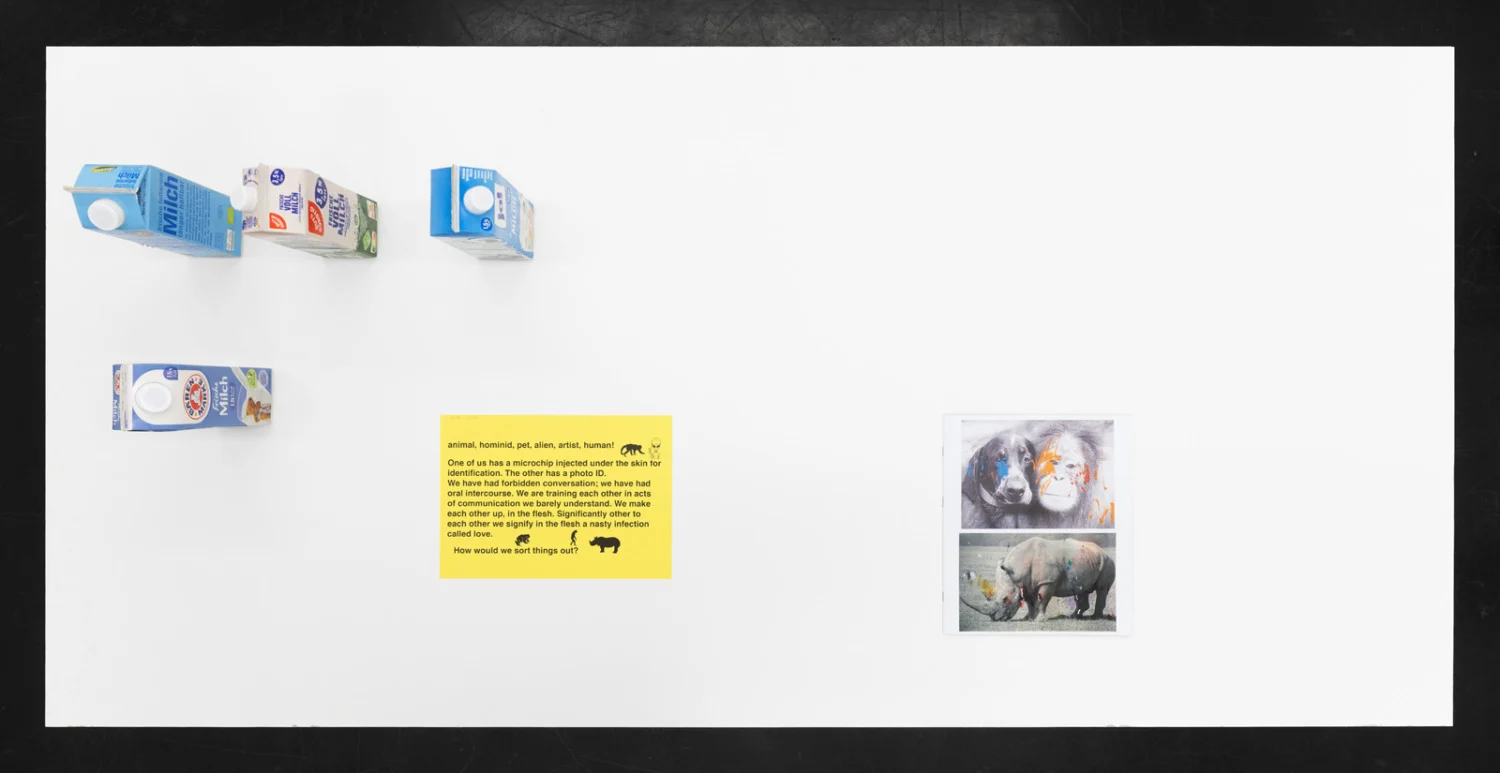 Food chain incl. prehistoric animals — Henrik Olesen — Exhibitions — Galerie Buchholz — Image 11