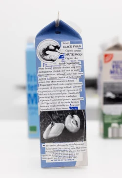 Food chain incl. prehistoric animals — Henrik Olesen — Exhibitions — Galerie Buchholz — Image 70