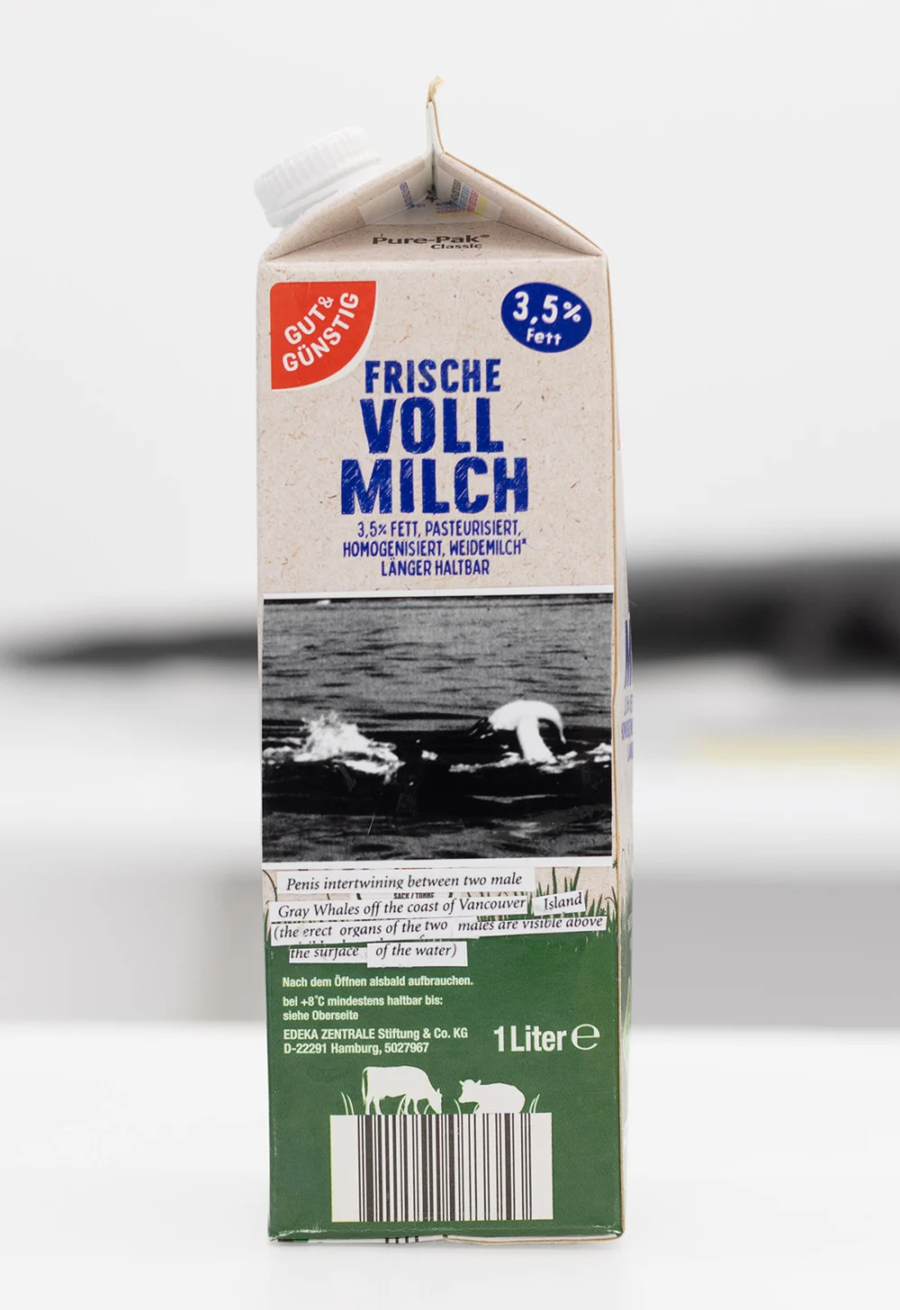 Food chain incl. prehistoric animals — Henrik Olesen — Exhibitions — Galerie Buchholz — Image 16