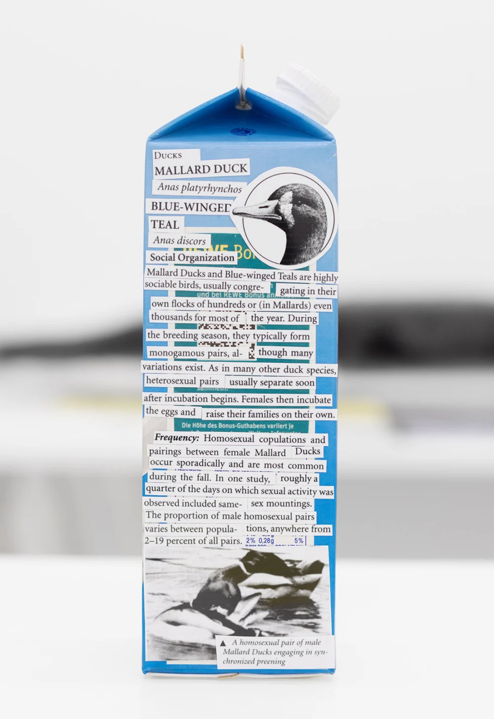 Food chain incl. prehistoric animals — Henrik Olesen — Exhibitions — Galerie Buchholz — Image 17