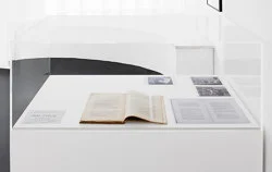 Antonin Artaud - Balthus - Christophstraße 2025 — Antonin Artaud Balthus — Exhibitions — Galerie Buchholz — Image 67