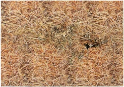 Bottleneck — Vera Palme — Exhibitions — Galerie Buchholz — Image 48