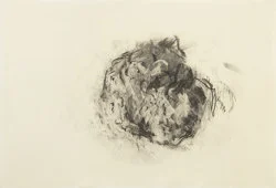 Angeldust — Michael Krebber — Exhibitions — Galerie Buchholz — Image 62