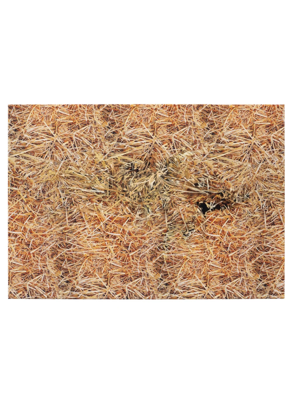 Bottleneck — Vera Palme — Exhibitions — Galerie Buchholz — Image 01