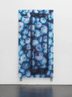 Soft and Bouncy — Gili Tal — Exhibitions — Galerie Buchholz — Image 47