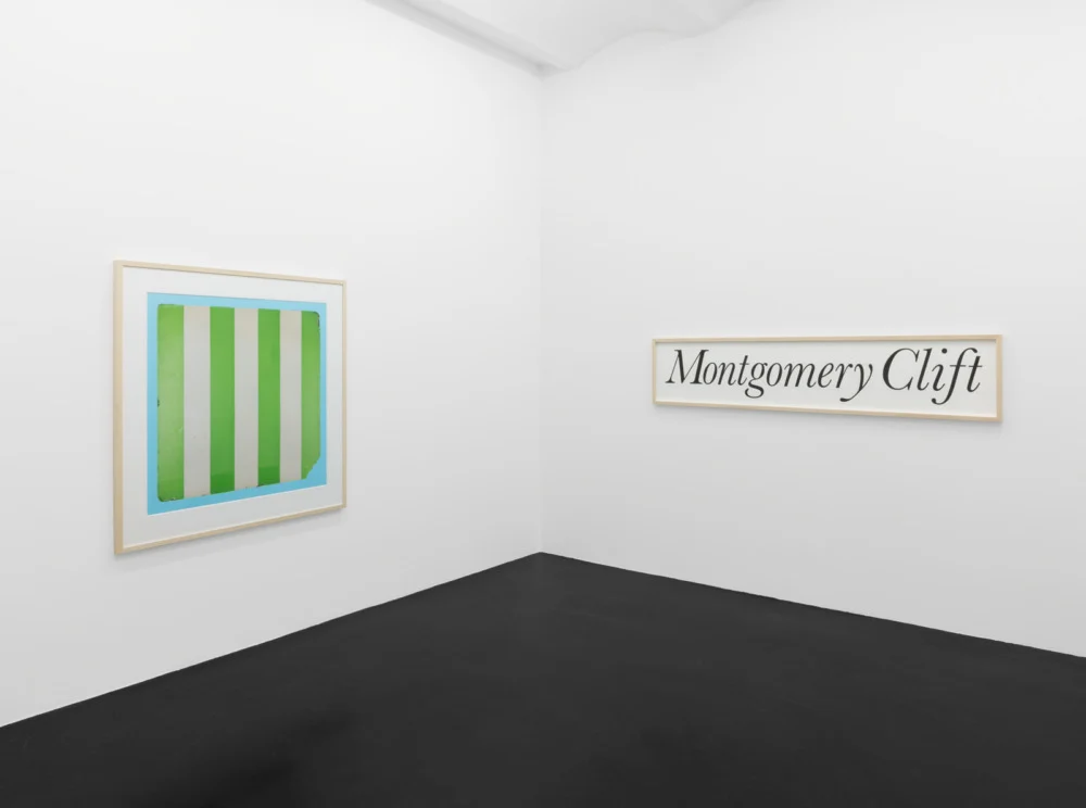 Larry Johnson - Galerie Köln 2026 — Larry Johnson — Exhibitions — Galerie Buchholz — Image 00